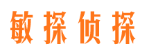 龙华市私家侦探